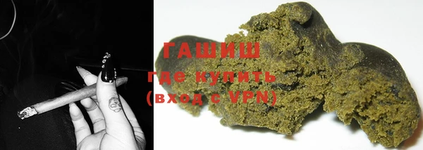 шишки Гусиноозёрск