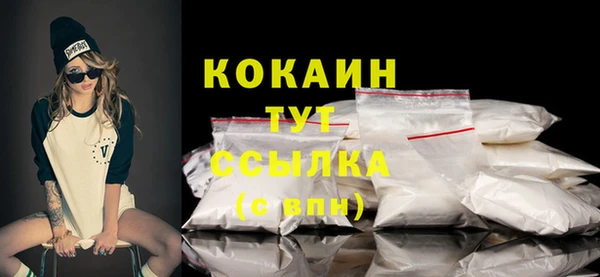 шишки Гусиноозёрск