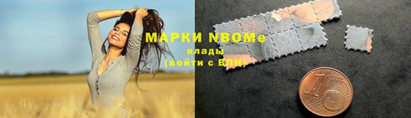 шишки Гусиноозёрск