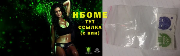 шишки Гусиноозёрск
