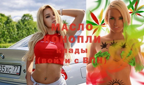 шишки Гусиноозёрск