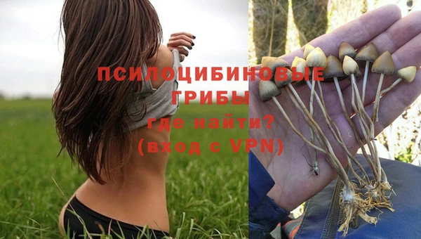 MESCALINE Гусев