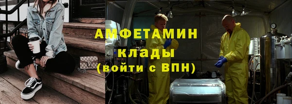 шишки Гусиноозёрск