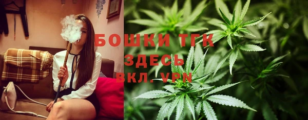 шишки Гусиноозёрск