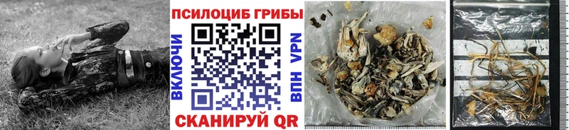 Купить закладки  Горняк  Псилоцибиновые грибы ЛСД 